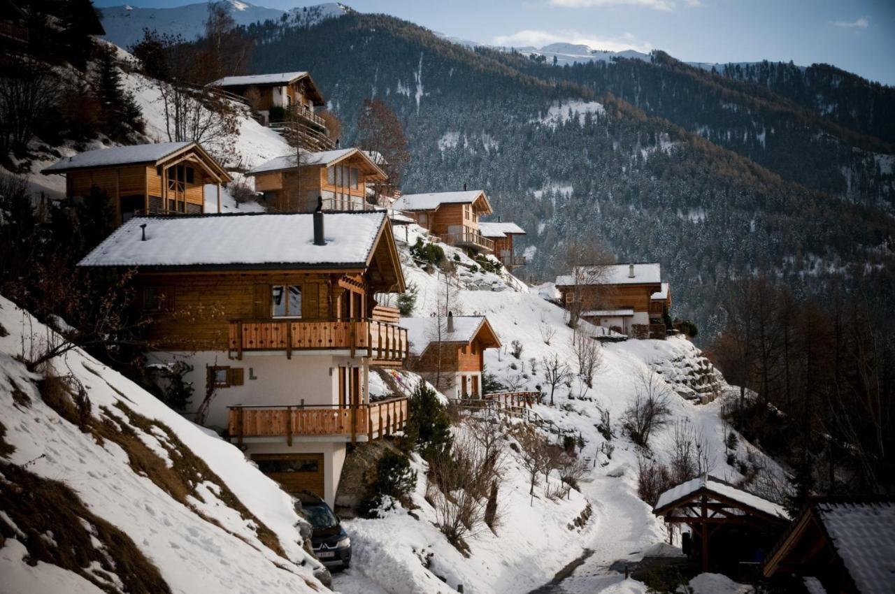 Greppons Cosy & Mountain Apartments By Alpvision Residences Veysonnaz Exterior foto